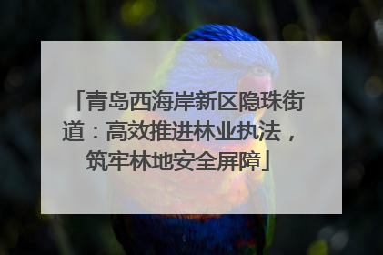 青岛西海岸新区隐珠街道：高效推进林业执法，筑牢林地安全屏障
