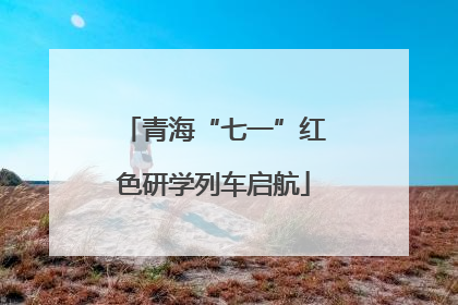 青海“七一”红色研学列车启航