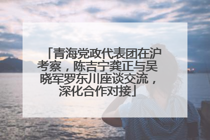 青海党政代表团在沪考察，陈吉宁龚正与吴晓军罗东川座谈交流，深化合作对接