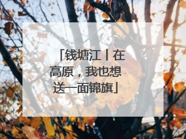 钱塘江丨在高原，我也想送一面锦旗