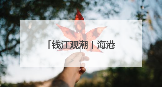钱江观潮丨海港“娘子军”，超级巨轮听她号令