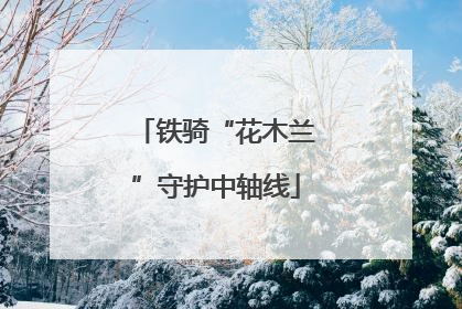 铁骑“花木兰”守护中轴线