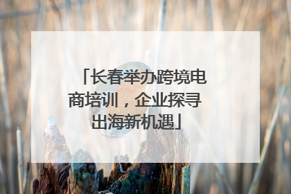 长春举办跨境电商培训，企业探寻出海新机遇