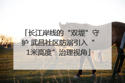 长江岸线的“双堤”守护 武昌社区防溺引入“1米高度”治理视角