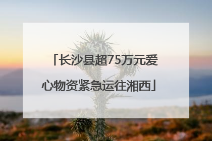 长沙县超75万元爱心物资紧急运往湘西