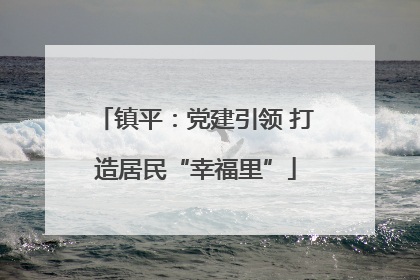 镇平：党建引领 打造居民“幸福里”