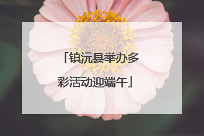 镇沅县举办多彩活动迎端午