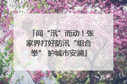 闻“汛”而动！张家界打好防汛“组合拳” 护城市安澜
