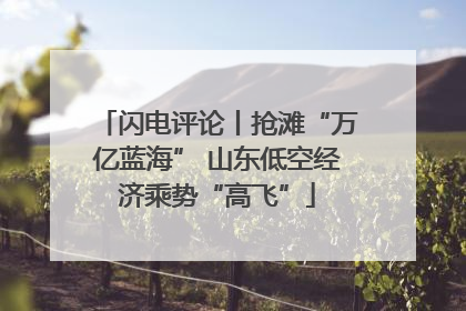 闪电评论丨抢滩“万亿蓝海” 山东低空经济乘势“高飞”