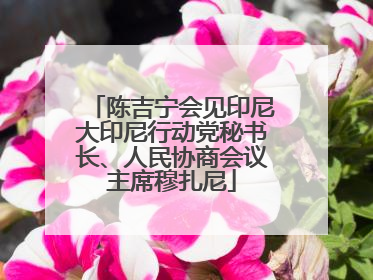 陈吉宁会见印尼大印尼行动党秘书长、人民协商会议主席穆扎尼