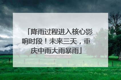 降雨过程进入核心影响时段！未来三天，重庆中雨大雨暴雨