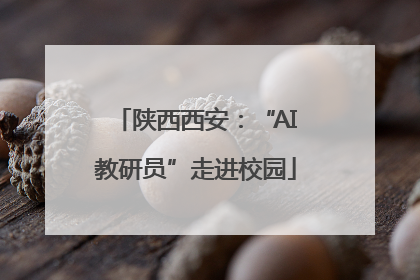 陕西西安：“AI教研员”走进校园