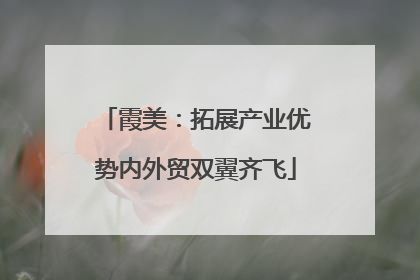 霞美：拓展产业优势内外贸双翼齐飞