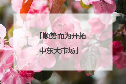 顺势而为开拓中东大市场