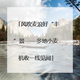 风吹麦浪好“丰”景——多地小麦机收一线见闻