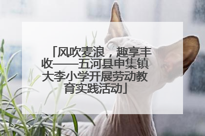 风吹麦浪，趣享丰收——五河县申集镇大李小学开展劳动教育实践活动