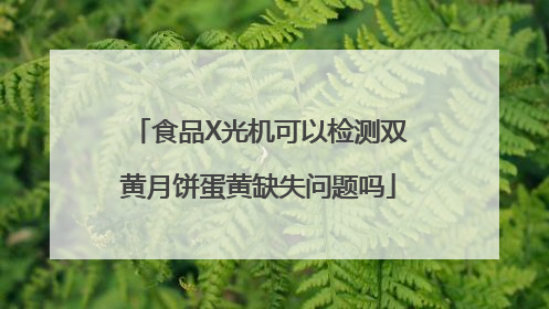 食品X光机可以检测双黄月饼蛋黄缺失问题吗