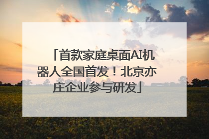 首款家庭桌面AI机器人全国首发！北京亦庄企业参与研发