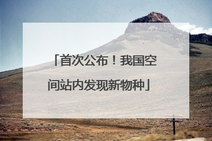 首次公布！我国空间站内发现新物种
