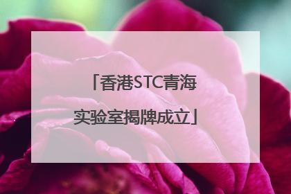 香港STC青海实验室揭牌成立