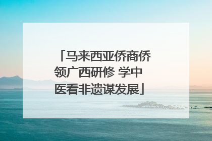 马来西亚侨商侨领广西研修 学中医看非遗谋发展