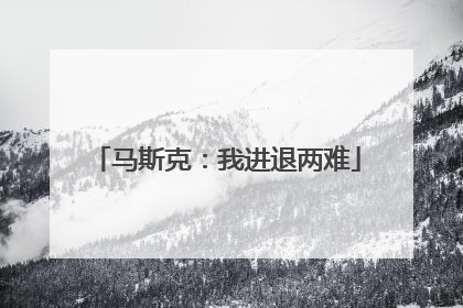 马斯克：我进退两难