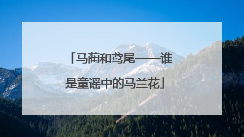 马蔺和鸢尾——谁是童谣中的马兰花