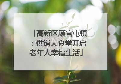 高新区顾官屯镇：供销大食堂开启老年人幸福生活