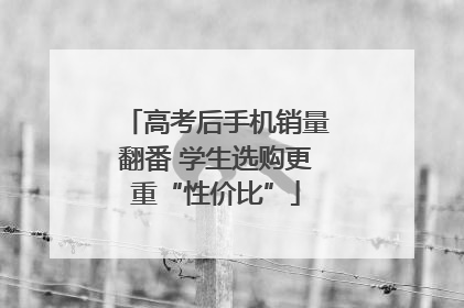 高考后手机销量翻番 学生选购更重“性价比”