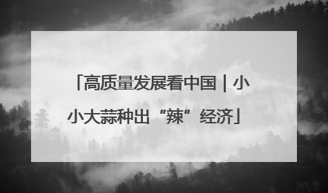 高质量发展看中国｜小小大蒜种出“辣”经济