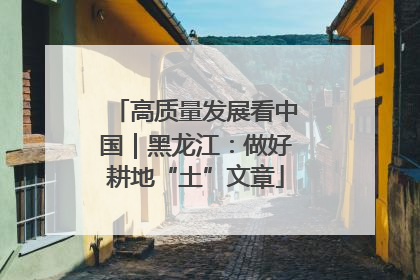 高质量发展看中国｜黑龙江：做好耕地“土”文章