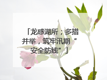 龙感湖所；多措并举，筑牢汛期“安全防线”