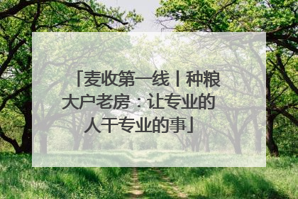麦收第一线丨种粮大户老房：让专业的人干专业的事
