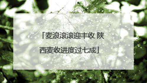 麦浪滚滚迎丰收 陕西麦收进度过七成