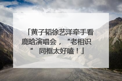 黄子韬徐艺洋牵手看鹿晗演唱会，“老相识” 同框太好嗑！