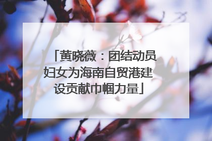 黄晓薇：团结动员妇女为海南自贸港建设贡献巾帼力量