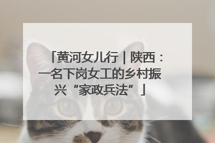 黄河女儿行｜陕西：一名下岗女工的乡村振兴“家政兵法”