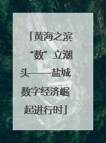 黄海之滨“数”立潮头——盐城数字经济崛起进行时