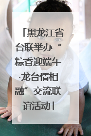 黑龙江省台联举办“粽香迎端午·龙台情相融”交流联谊活动