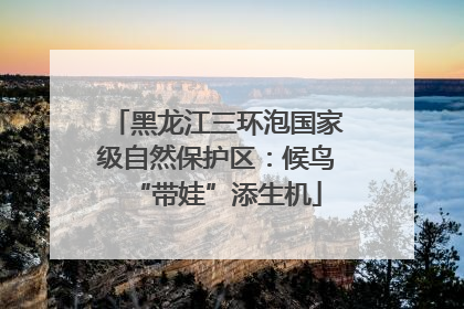黑龙江三环泡国家级自然保护区：候鸟“带娃”添生机