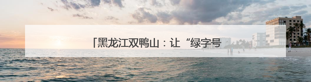 黑龙江双鸭山：让“绿字号”从寒地黑土挺进大市场