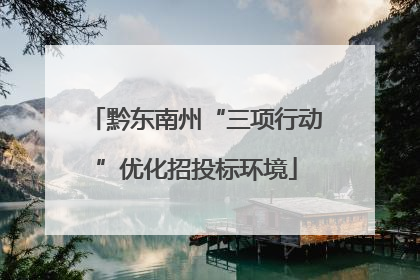 黔东南州“三项行动”优化招投标环境
