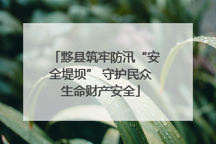黟县筑牢防汛“安全堤坝” 守护民众生命财产安全