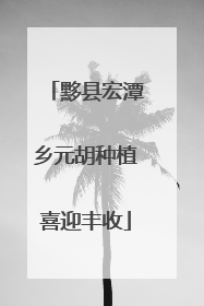 黟县宏潭乡元胡种植喜迎丰收
