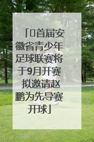﻿首届安徽省青少年足球联赛将于9月开赛 拟邀请赵鹏为先导赛开球
