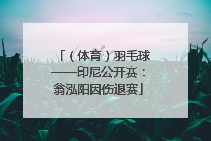 （体育）羽毛球——印尼公开赛：翁泓阳因伤退赛