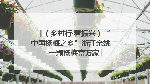 （乡村行·看振兴）“中国杨梅之乡”浙江余姚：一颗杨梅富万家