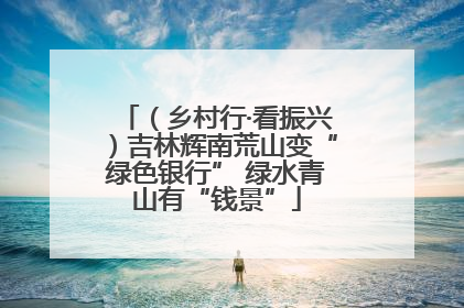（乡村行·看振兴）吉林辉南荒山变“绿色银行” 绿水青山有“钱景”