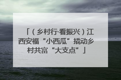 （乡村行·看振兴）江西安福“小西瓜”撬动乡村共富“大支点”