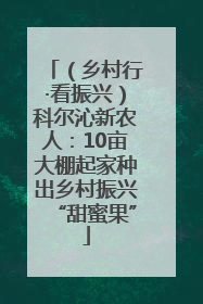 （乡村行·看振兴）科尔沁新农人：10亩大棚起家种出乡村振兴“甜蜜果”